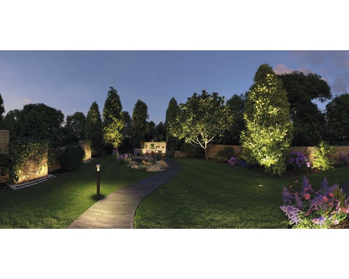 Beleuchteter Garten mit Bäumen, Sträuchern, Blumen und Steinweg bei Nacht.