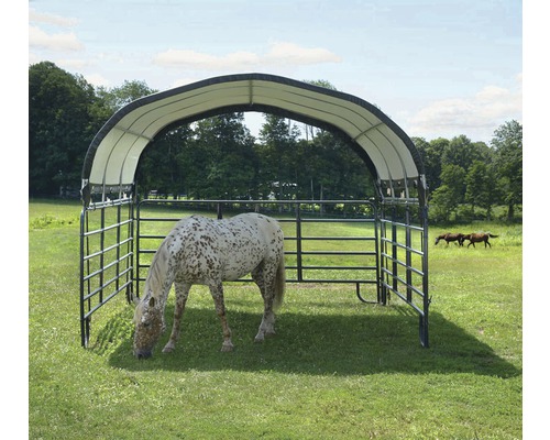 Pferdeunterstand mit einem Pferd auf einer Weide.