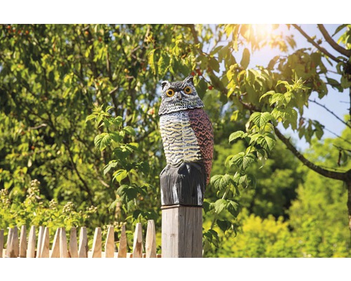 Eulenattrappe auf einem Holzpfosten zur Vogelabwehr im Garten