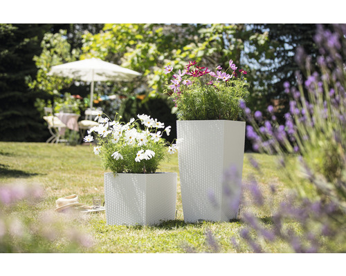 Pflanzvase Lechuza Cubico Cottage Kunststoff 40x40x75 cm | HORNBACH