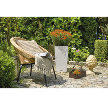 Garten Szene mit Korbsessel, Pflanzgefäß und Dekoration auf Steinboden