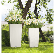 Zwei hohe Pflanzgefäße mit Blumen im Garten