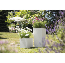 Zwei quadratische Pflanzkübel mit Pflanzen im Garten.