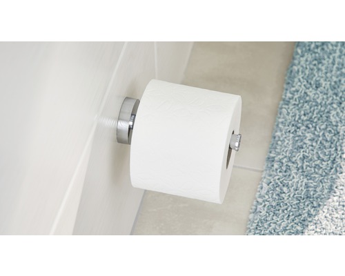Toilettenpapierhalter mit einer Rolle Toilettenpapier an der Wand