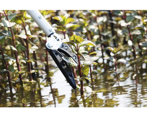 Greifzange zum Entfernen von Pflanzen aus dem Wasser