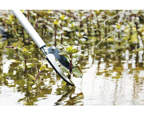 Teichreinigungswerkzeug zum Entfernen von Wasserpflanzen aus einem Teich