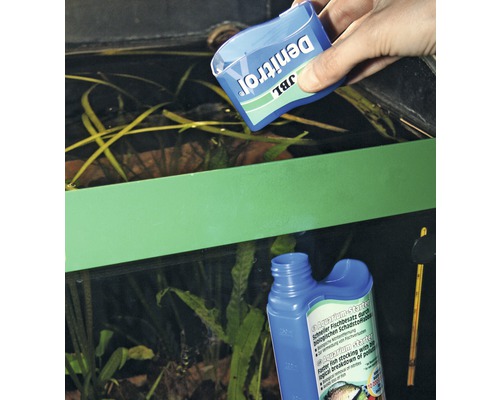 Anwendung von JBL Denitrol Aquarium Starter zur biologischen Schadstoffbeseitigung im Aquarium.