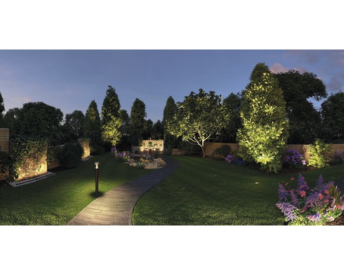 Beleuchteter Garten mit Weg, Bäumen und Blumen bei Dämmerung.
