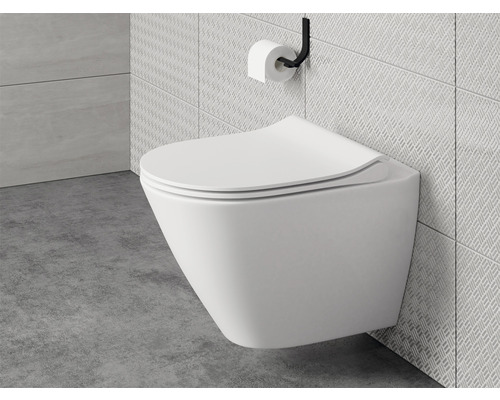 Wandhängendes WC mit Toilettenpapierhalter im Badezimmer