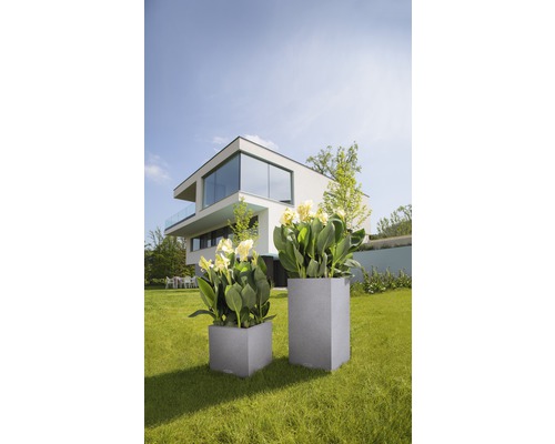 Zwei graue Pflanzkübel mit Blumen im Garten vor einem Wohnhaus