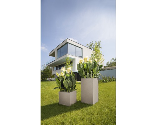 Zwei Pflanzgefäße unterschiedlicher Größe mit Pflanzen im Garten vor einem modernen Haus.