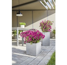 Gartenszene mit Blumenkästen und Tischgarnitur auf gepflasterter Fläche