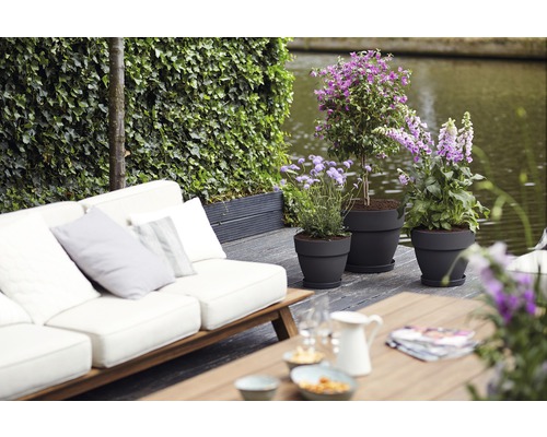Terrasse mit Pflanzkübeln, Sitzgruppe und Bewuchs