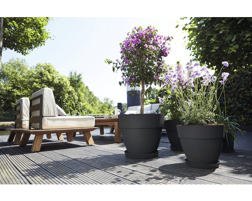 Terrassenszene mit Gartenmöbeln und Pflanzgefäßen im Außenbereich