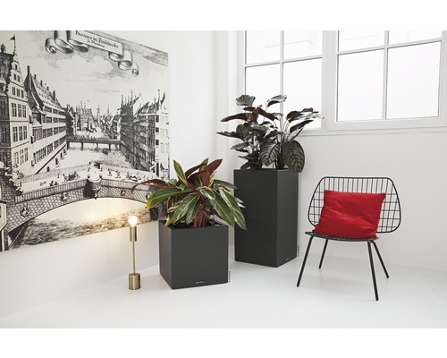 Innenraumszene mit zwei Pflanzen in Pflanzgefäßen, einem Stuhl mit Kissen, einer Stehlampe und einem Wandbild