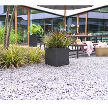 Pflanzkübel Lechuza Canto Stone 40 x 40 x H 40 cm schwarz inkl. Erdbewässerungsystem Pflanzeinsatz Substrat Wasserstandsanzeiger