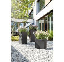Pflanzkübel Lechuza Canto Stone 40 x 40 x H 40 cm schwarz inkl. Erdbewässerungsystem Pflanzeinsatz Substrat Wasserstandsanzeiger