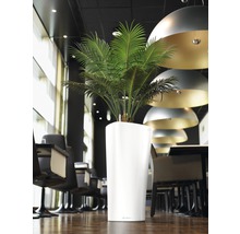 Pflanzvase Lechuza Delta Ø 40 cm H 75 cm weiß inkl. Erdbewässerungsystem Pflanzeinsatz Substrat Wasserstandsanzeiger