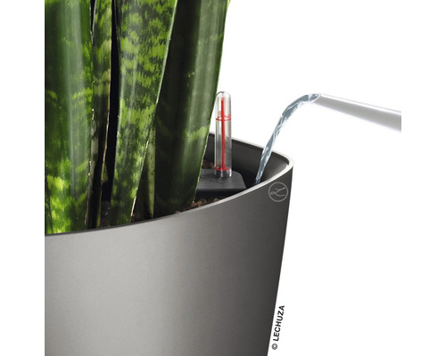 Pflanze in einem Pflanzgefäß mit Wasserstandsanzeige wird gegossen.