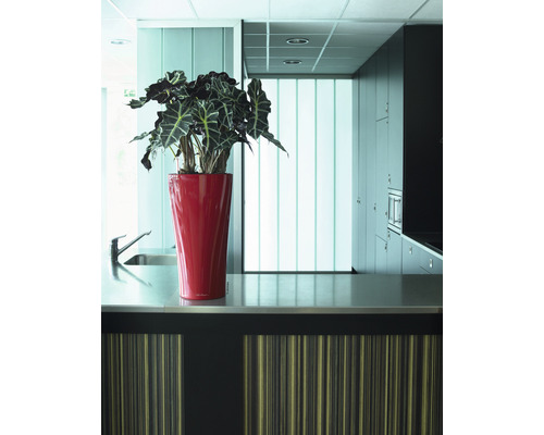 Küchenszene mit Spüle, Arbeitsplatte und Topfpflanze in rotem Übertopf