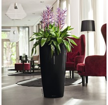 Pflanzvase Lechuza Rondo Ø 40 cm H 75 cm schwarz inkl. Erdbewässerungsystem Pflanzeinsatz Substrat Wasserstandsanzeiger