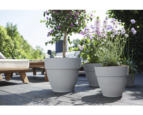 Szene mit Pflanzkübeln und Pflanzen auf einer Terrasse