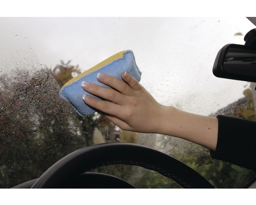 Eine Hand wischt mit einem Reinigungsschwamm eine nasse Windschutzscheibe