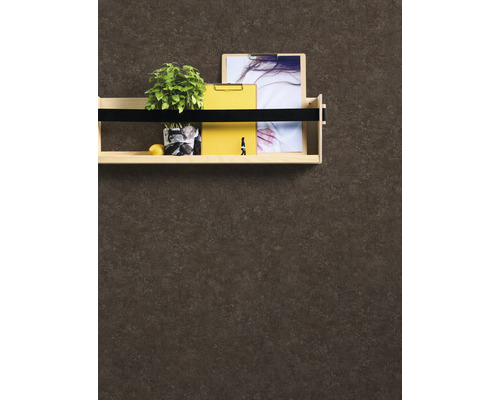 Holzregal mit Pflanze, Zitrusfrucht, Klemmbrett und Bild