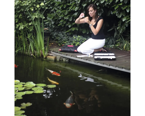 Frau führt eine Wasseranalyse mit einem Testkit auf einem Holzsteg an einem Teich mit Kois durch.