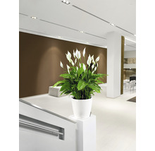Blumentopf Lechuza Classico LS Ø 28 x H 26 cm weiß inkl. Erdbewässerungsystem Pflanzeinsatz Substrat Wasserstandsanzeiger
