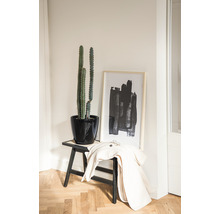 Dekoratives Interieur mit Kaktus in schwarzem Topf auf einem Hocker, ergänzt durch ein gerahmtes abstraktes Kunstwerk und eine Jacke.
