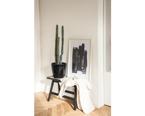 Dekoratives Interieur mit Kaktus in schwarzem Topf auf einem Hocker, ergänzt durch ein gerahmtes abstraktes Kunstwerk und eine Jacke.