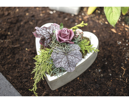Herzförmiges Pflanzgefäß mit Rosen und Grünpflanzen