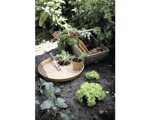 Gemüsegarten mit Ernte in einem Holzkasten, Untersetzer und Gartengerät