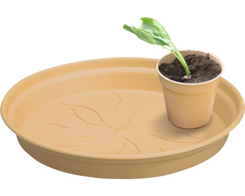 Blumenuntersetzer aus Kunststoff mit Topfpflanze