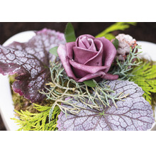 Dekorative Anordnung mit Rose, Blättern und Grünzeug
