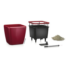 Pflanzkübel Lechuza Quadro 28 x 28 x H 26 cm rot inkl. Erdbewässerungsystem Pflanzeinsatz Substrat Wasserstandsanzeiger