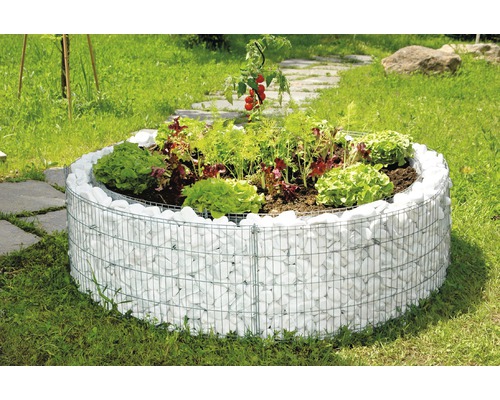 Rundes Hochbeet aus Gabionen mit weißer Steinbefüllung im Garten