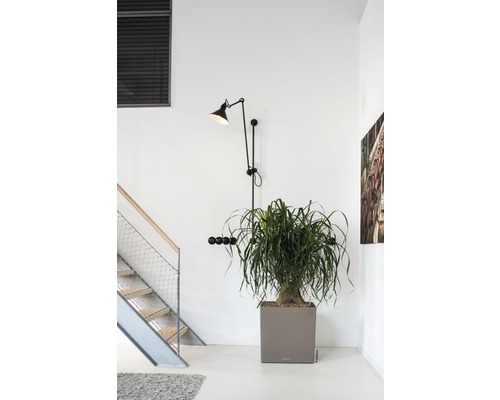 Szene eines Innenraums mit Treppe, Pflanze im Topf und Wandlampe