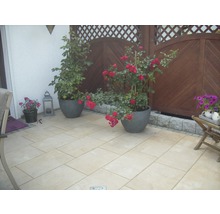 Beton Terrassenplatte iStone Basic ocker-gelb-rosè 60 x 40 x 4 cm-thumb-4