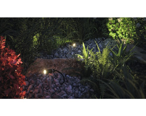 | Plug Paulmann Shine Gartenspot-Ergänzungsset LED & IP65 HORNBACH