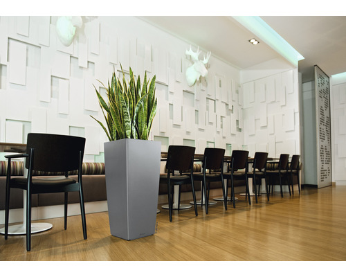 Innenaufnahme eines Raumes mit Esstisch, Stühlen und einem hohen, grauen Pflanzgefäß mit Grünpflanze