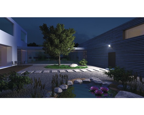 Beleuchteter Garten mit Teich, Steinen und Pflanzen in der Nacht