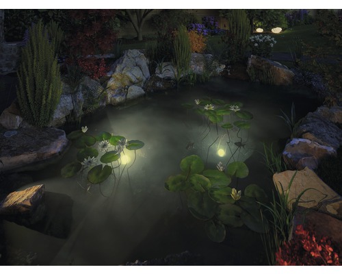 Gartenteich mit Seerosen und Teichbeleuchtung