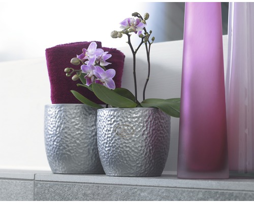 Dekoratives Arrangement mit Orchidee in silberfarbenem Topf, Handtuch und Vasen