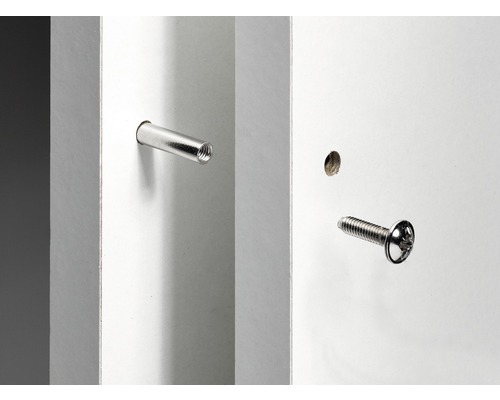 Dübel und Schraube in einem weißen Regal