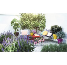 Terrasse mit Gartenmöbeln, Pflanzen und dekorativen Kissen