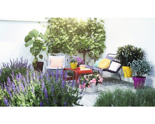 Terrasse mit Gartenmöbeln, Pflanzen und dekorativen Kissen