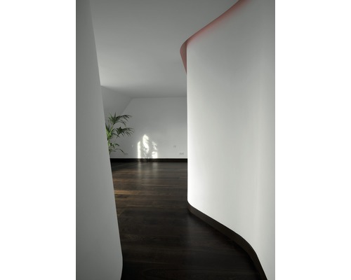 Innenraum mit Holzboden und Zimmerpflanze