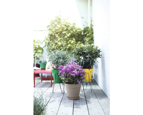Balkonszene mit bepflanzten Blumentöpfen auf Metallständern